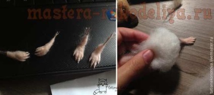 Clasa de masterat pe hamster uscat felting