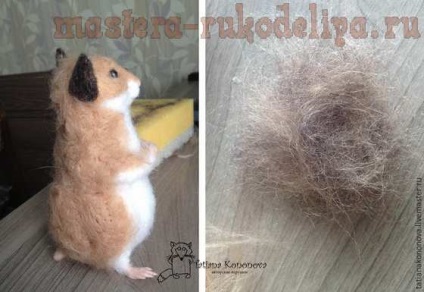 Clasa de masterat pe hamster uscat felting