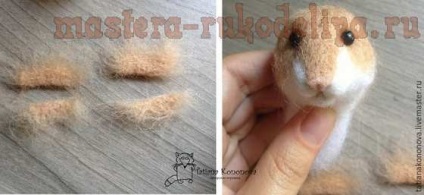 Clasa de masterat pe hamster uscat felting