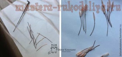 Clasa de masterat pe hamster uscat felting