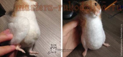 Clasa de masterat pe hamster uscat felting