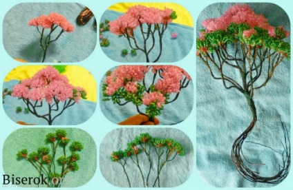 Mk - roz bonsai pe piatră