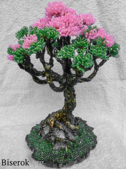 Mk - roz bonsai pe piatră