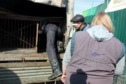 Морди сумні, в очах - страх співробітники «СПЕЦАВТОБАЗА» в Єкатеринбурзі показали, що вони роблять