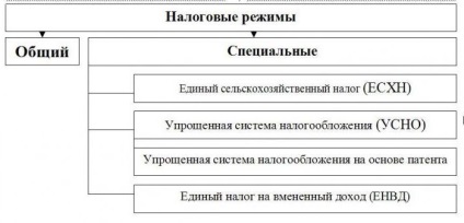 Este posibil să se lucreze cu sistemul TVA de impozitare pentru antreprenorii individuali