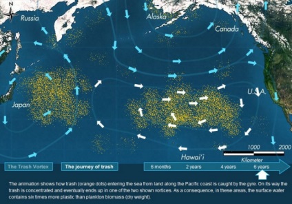 Сміттєвий острів в світовому океані виріс в 100 разів