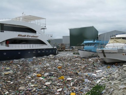 Insula de gunoi din oceanele lumii a crescut de 100 de ori