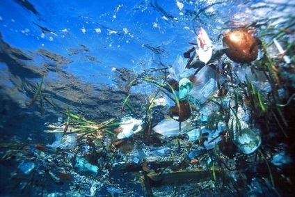 Insula de gunoi din oceanele lumii a crescut de 100 de ori