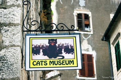 Muzeul Cat in care