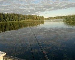 Наші послуги - кемпінг - відпочинок на озері Селява