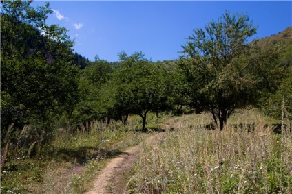 O excursie scurtă la schița Aksai!