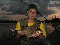 Pescuitul de noapte pe alimentator