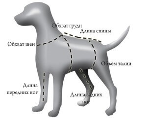 Одяг для маленьких і великих (великих) собак, основні світові виробники