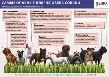 Небезпечні породи собак - знайомства домашніх тварин