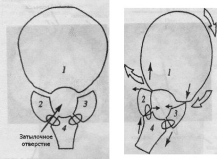 Osteopatie pentru nou-născuți