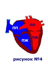 Departamentul de metode chirurgicale de diagnostic și tratament cu raze X