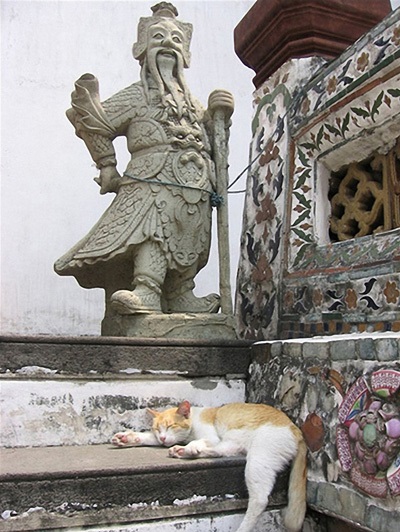 Звідки пішли кішки (кхмерский міф) - зооінформ-сіті