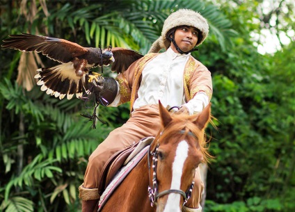 Парк птахів в Сінгапурі jurong bird park години роботи, як дістатися, вартість квитків