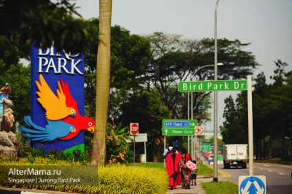 Парк птахів в Сінгапурі jurong bird park як дістатися, відгук і фото