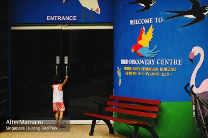 Парк птахів в Сінгапурі jurong bird park як дістатися, відгук і фото