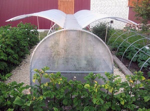 Greenhouse „pillangó” leírás, szerelési, üzemeltetési, előnyei, hátrányai