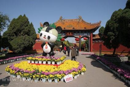 Dragon Pavilion, Kaifeng - 2008 - salut, china!