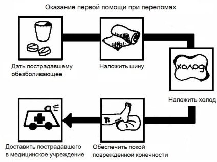 Перелом шийки стегна види, симптоми, лікування, наслідки