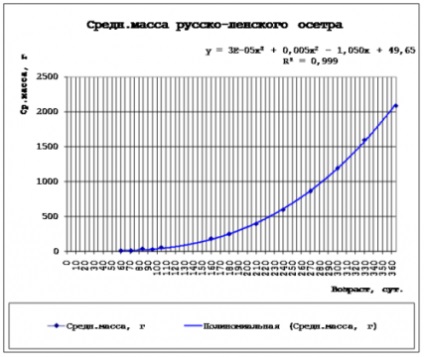 Перспективи вирощування гібрида російського осетра з сибірським осетром в росії