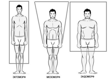 Nutriția mezomorfului pentru obținerea masei musculare