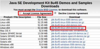 Platforma ideea ubuntu pentru dezvoltare pe java, despre programare