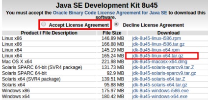 Platforma ideea ubuntu pentru dezvoltare pe java, despre programare