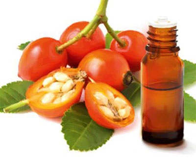 Gyümölcsök és csipkebogyó olaj alkalmazása és használata