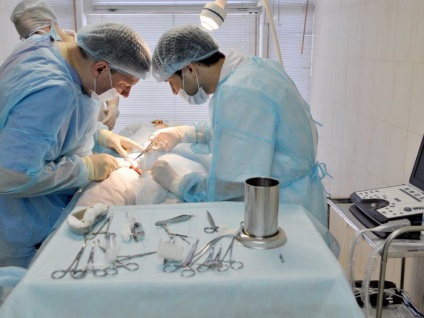 Cusatura de rinichi pentru chirurgia nefroptozei si reabilitare