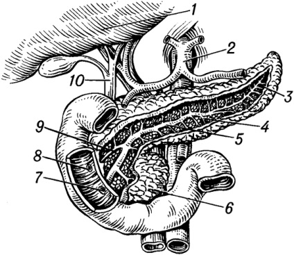 Pancreasul este