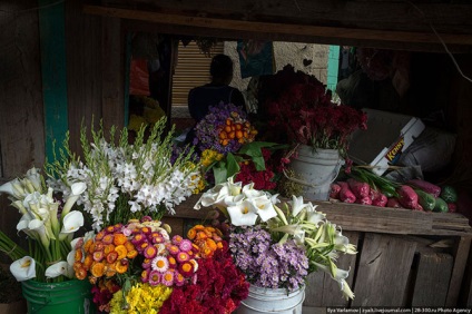 O călătorie în Honduras, mai proaspătă - cea mai bună din Runet pentru o zi!