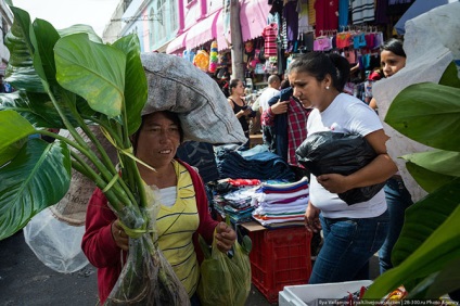 O călătorie în Honduras, mai proaspătă - cea mai bună din Runet pentru o zi!