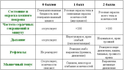 Полезнейшие винаходи, які придумали жінки, розважальний портал