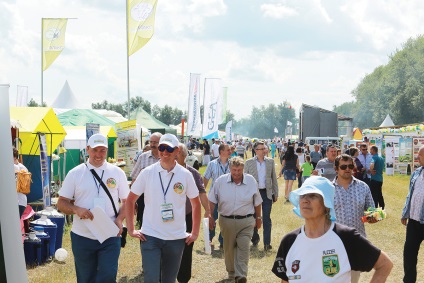 Domeniile realizărilor, proiectul media 