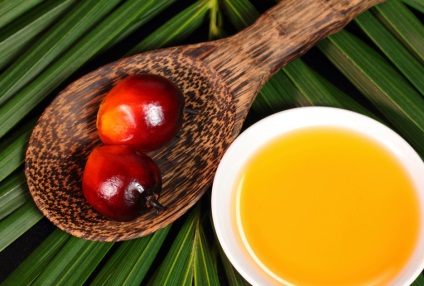 Beneficii și Harms de ulei de palmier pentru corpul Compoziție și proprietăți