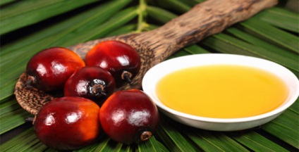 Користь і шкода пальмового масла для організму склад і властивості