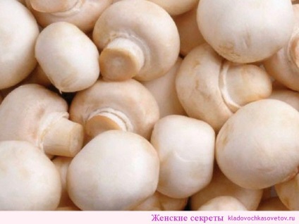 Utilizarea de ciuperci pentru piele, secretele femeilor