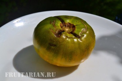 Tomate de malachit și grapefruit din Siberian și soiuri de portocale