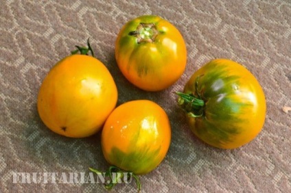 Tomate de malachit și grapefruit din Siberian și soiuri de portocale