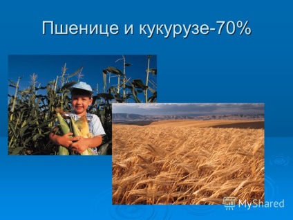 Презентація на тему крохмаль - природний полімер крохмаль - природний полімер (з 6 н 10 про 5) n (з 6