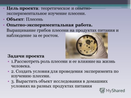 Презентація на тему проект по навколишнього світу цвілеві гриби або цвіль виконали учні 1 - в