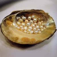 Perle naturale, culturale și de apă dulce - diferențele dintre ele