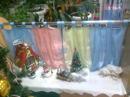 Proiectul (grupul de mijloc) pe tema ornamentului trupei pentru noul an - 