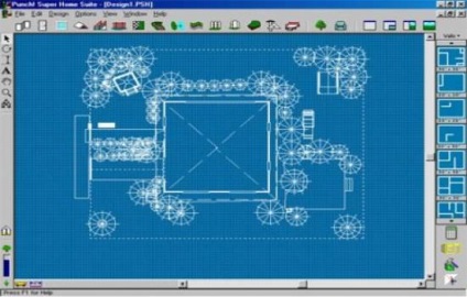 Program pentru design peisagistic pumn în limba rusă, descărcare, cumpărare