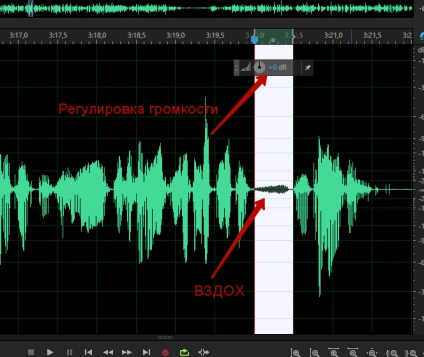 Програма для обробки звуку як прибрати зітхання з аудіозапису