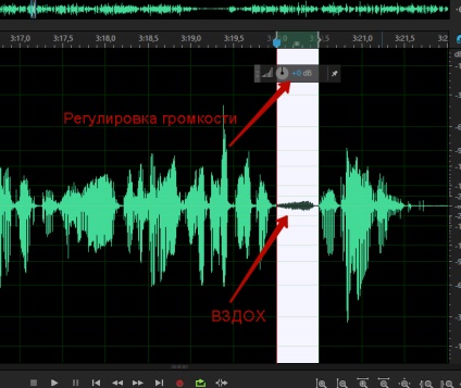 A program a hangfeldolgozó hogyan távolítsa el a sóhajt rekord